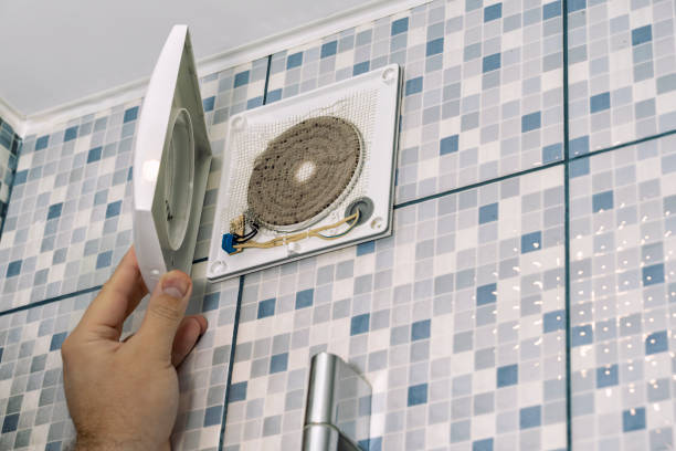 Best Home Air Vent Cleaning  in Darlington, WI