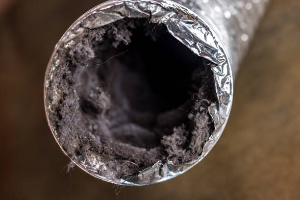 Best Affordable HVAC Duct Cleaning  in Darlington, WI