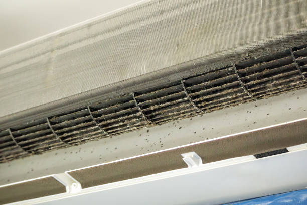 Best Ductwork Cleaning Services  in Darlington, WI